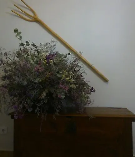 San Gregorio Alquézar